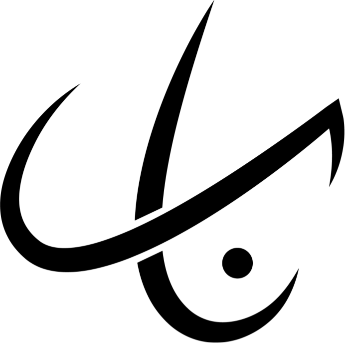 NAS Black Logo